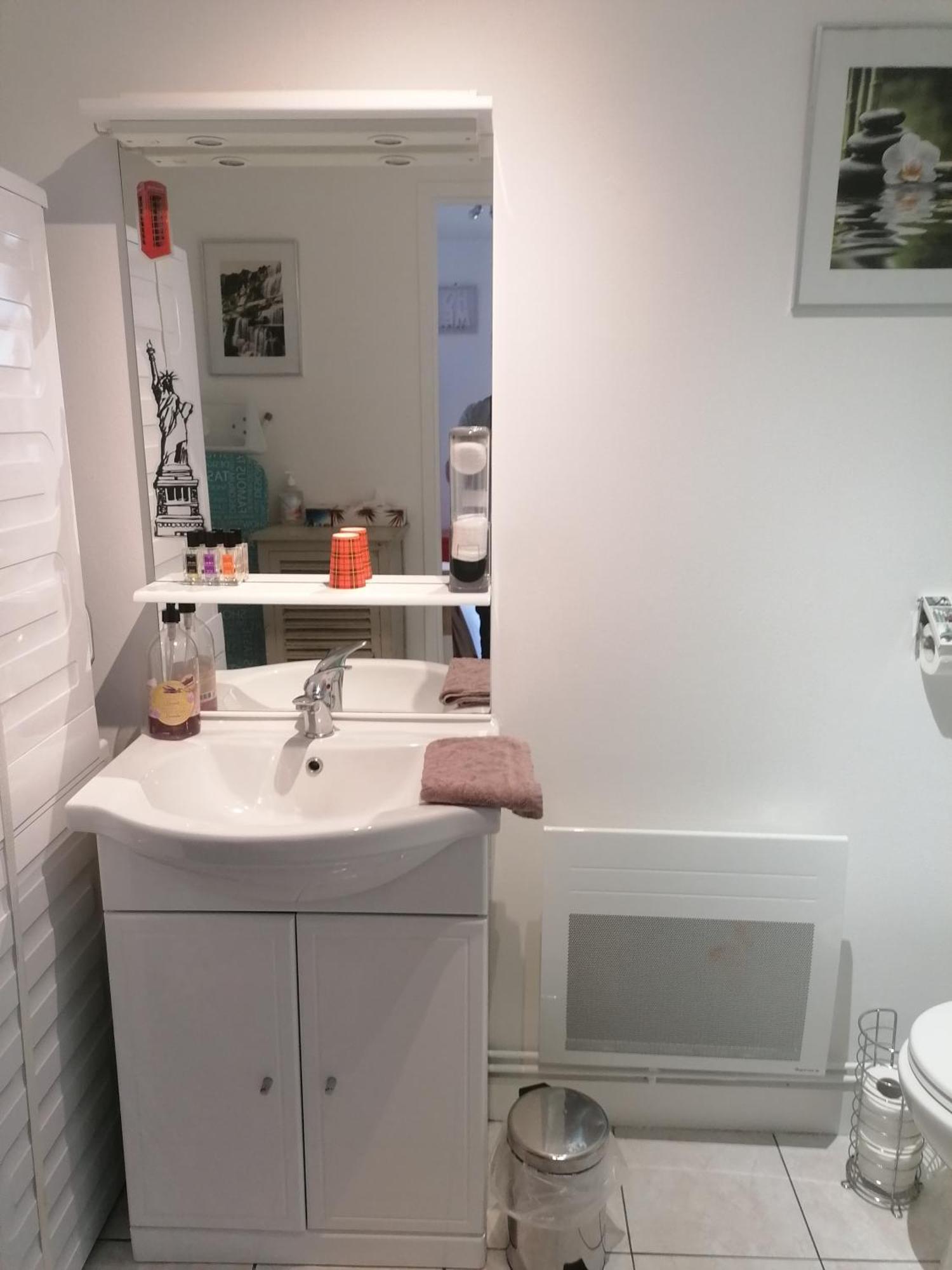 Le Petit Chalet -Appartement Proche De La Vieille Ville , Du Centre Ville Et Du Tram- Petit Dejeuner Offert Ле-Ман Экстерьер фото